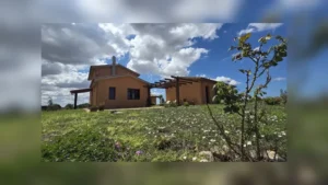 agriturismo-canino-esterno