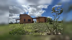 agriturismo-canino-esterno