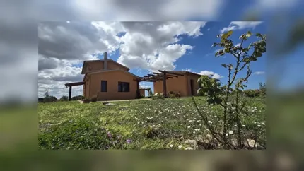 agriturismo-canino-esterno