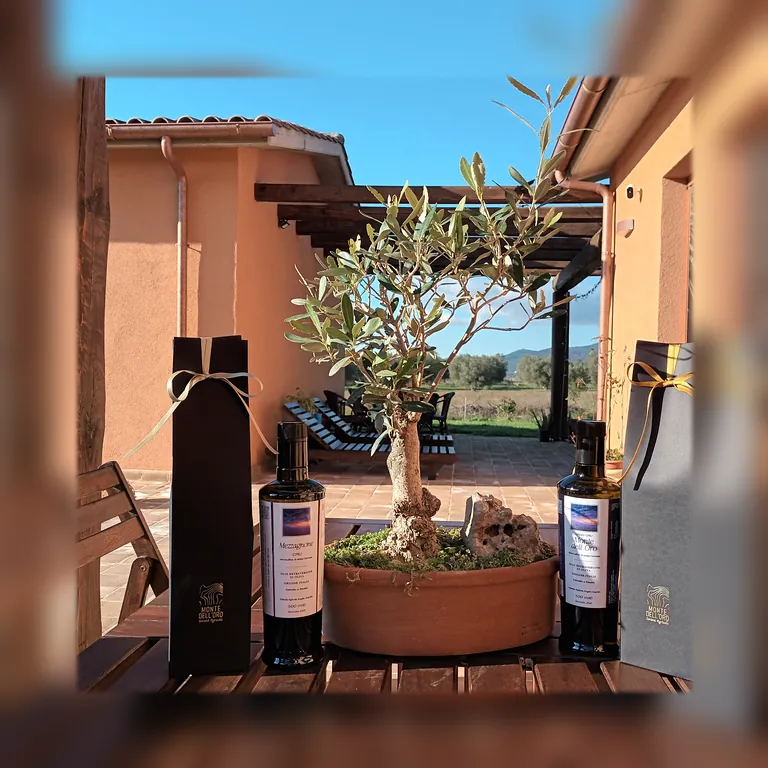 Monte dell'Oro Domus 6 olio_2025