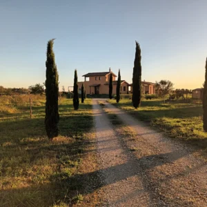 Monte dell'Oro Domus 1 copertina 1