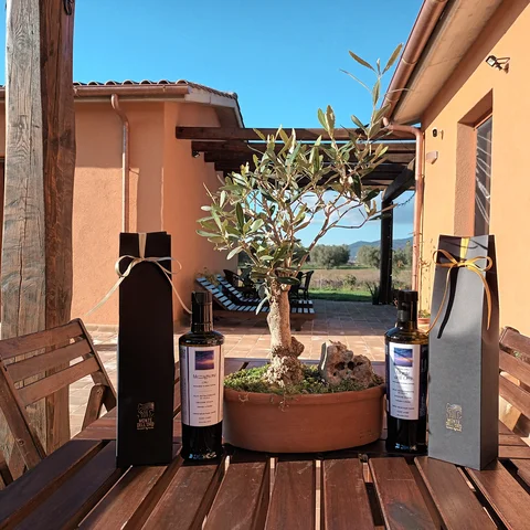 Olio Produzione 2025